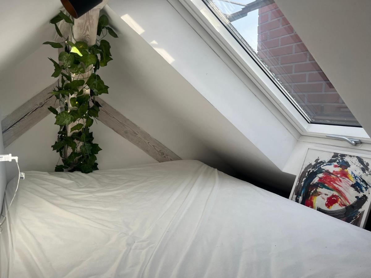 Attic Appart Torun Bagian luar foto