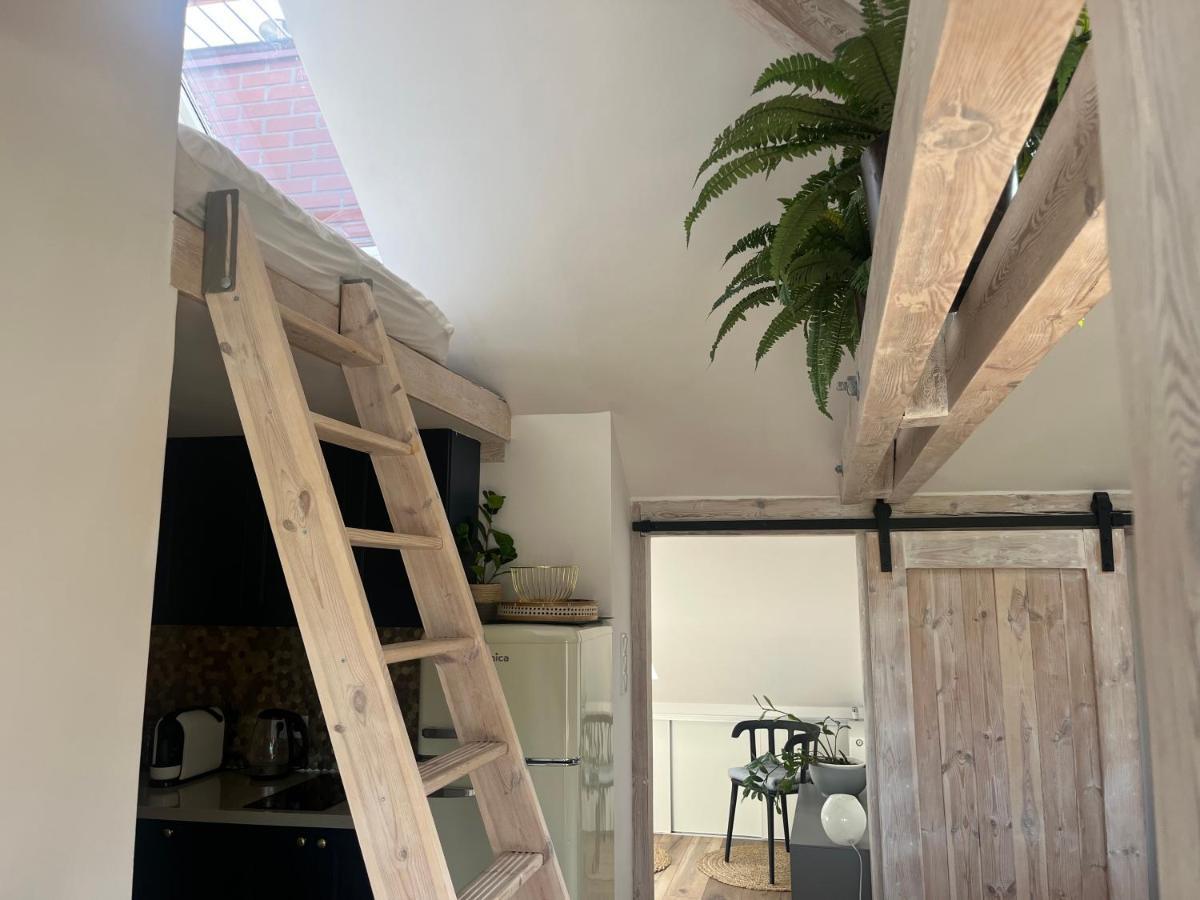 Attic Appart Torun Bagian luar foto
